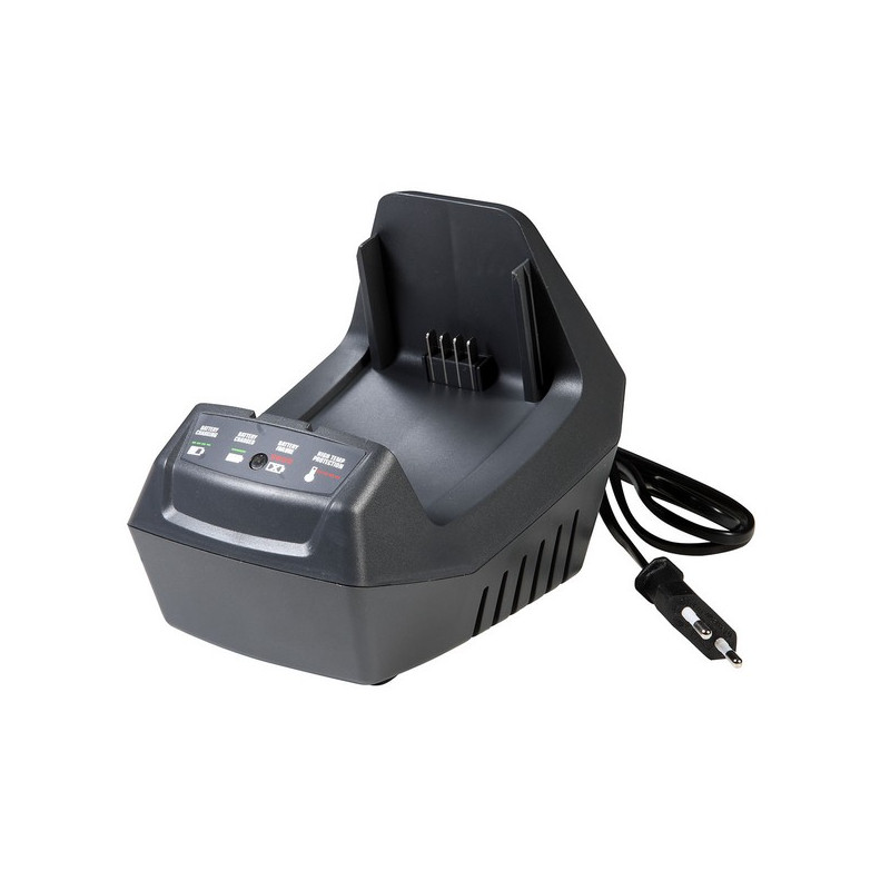 Chargeur batterie CGR Oleo Mac