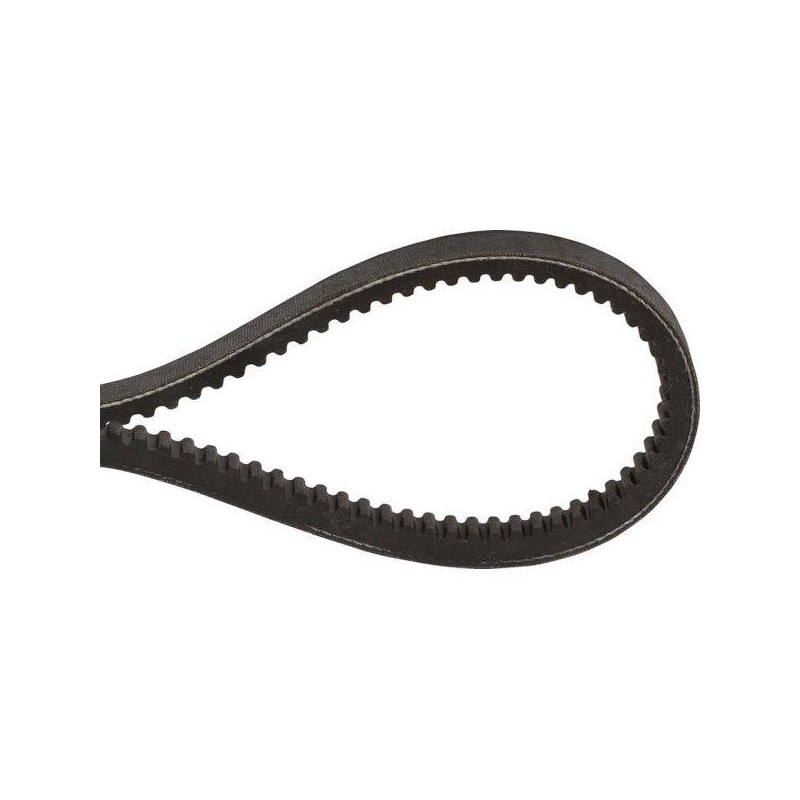 Courroie crantée BX53 pour fraise arrière motoculteur Honda