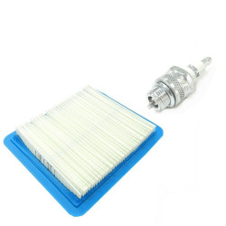 Kit filtre &agrave; air Briggs & Stratton + bougie Champion RJ19LM