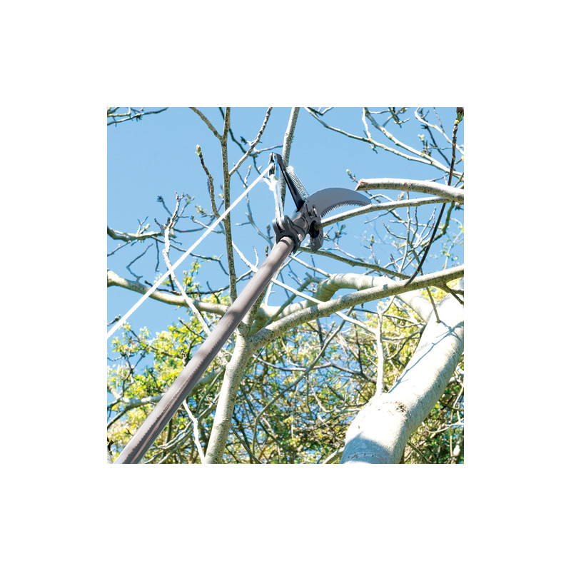 Scie à élaguer télescopique 1200mm Silverline