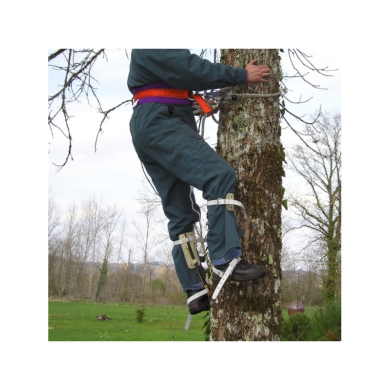 Paire de grimpette d'élagage acier - cuir