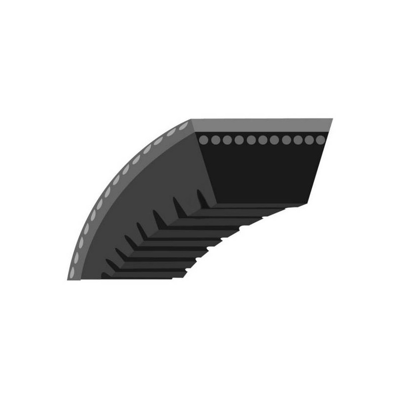 Courroie crantée tondeuse Toro 56cm