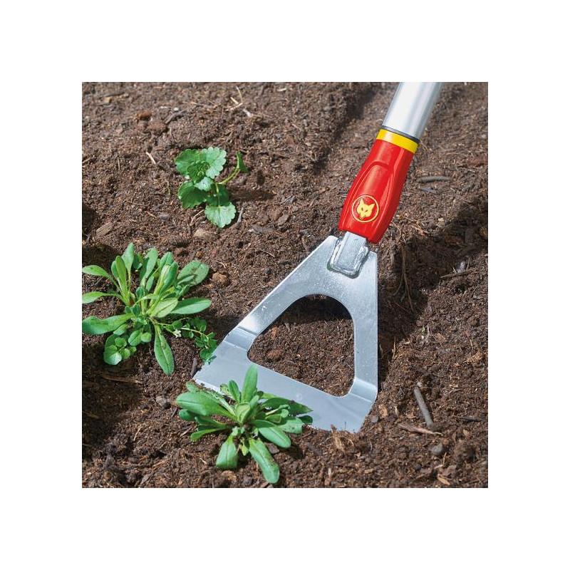 Binette hollandaise Wolf Multi Star DHM