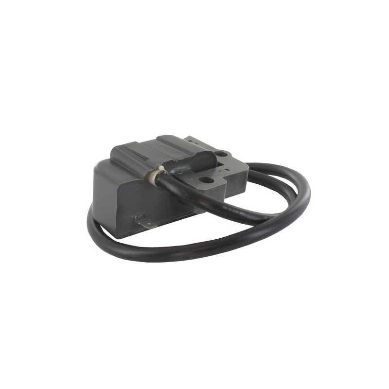 Bobine allumage souffleur Echo
