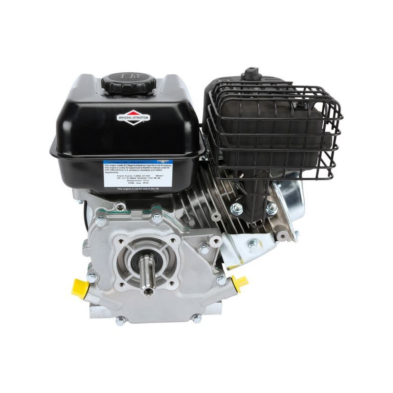 Moteur Briggs & Stratton XR550