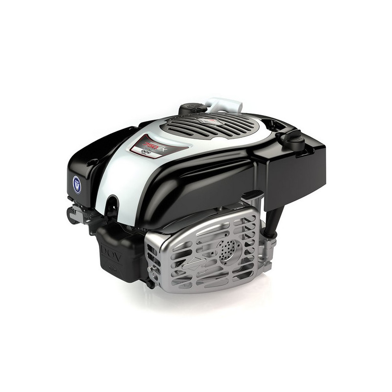 Moteur Briggs & Stratton DOV 750EX