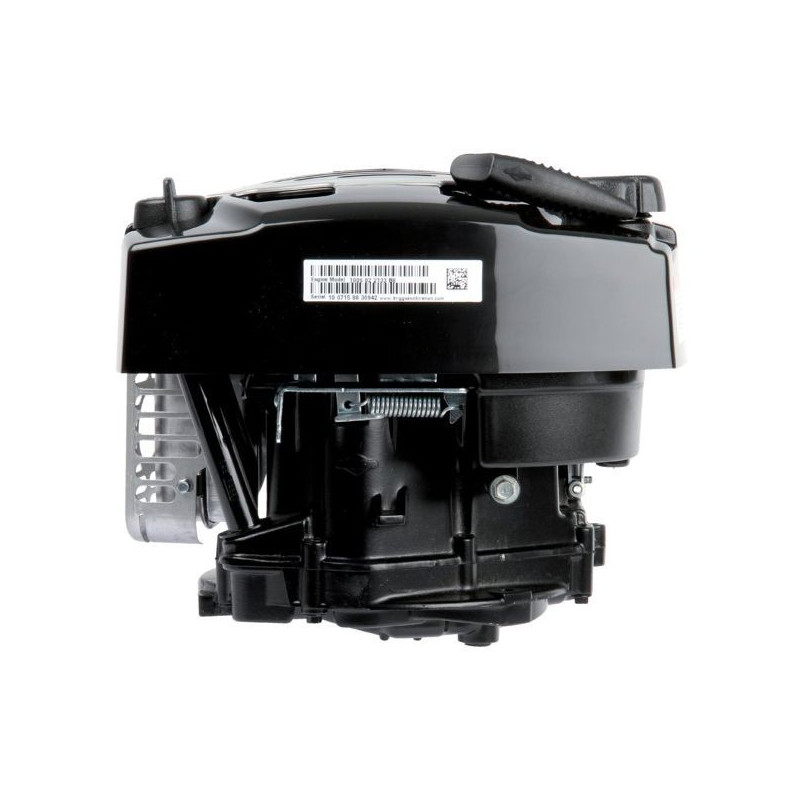 Moteur Briggs & Stratton DOV 750EX