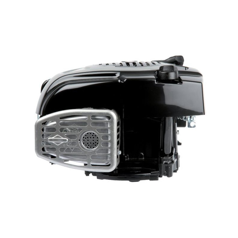 Moteur Briggs & Stratton DOV 750EX
