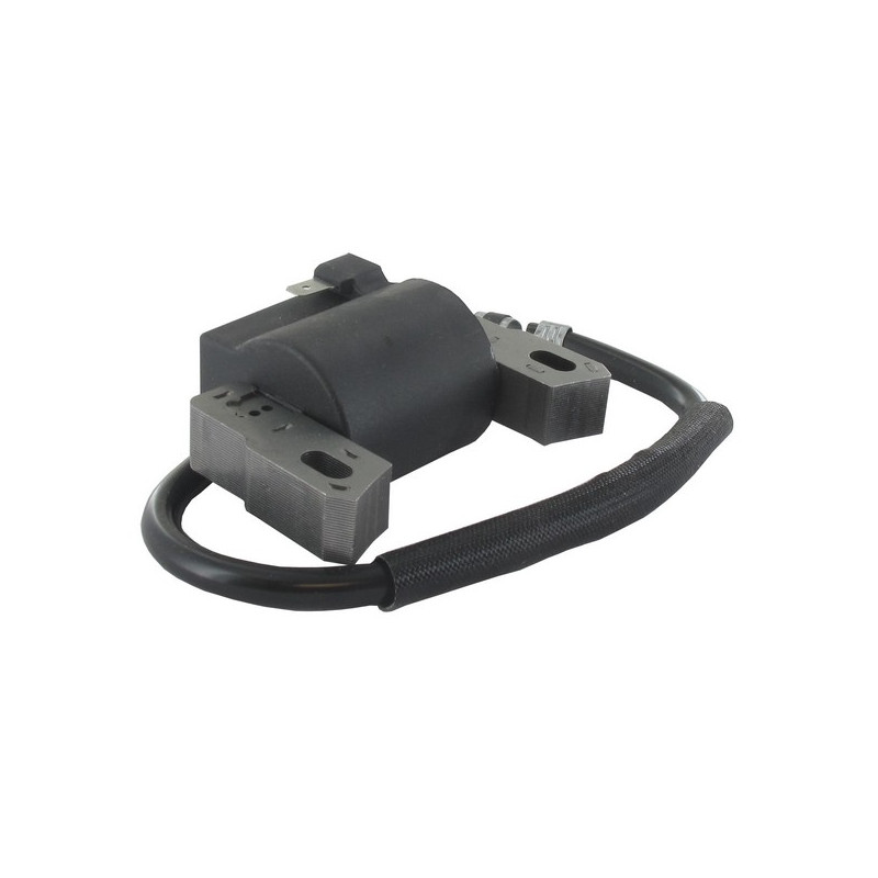 Bobine allumage tondeuse moteur Briggs & Stratton