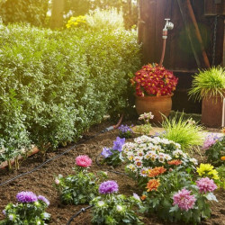 Kit arrosage rang&eacute;es plantes Gardena S