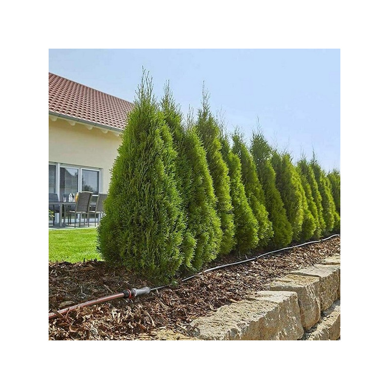 Kit arrosage rangées plantes Gardena L