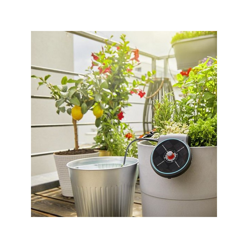 Arrosage automatique solaire Gardena AquaBloom