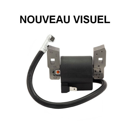 Bobine allumage moteur Briggs et Stratton