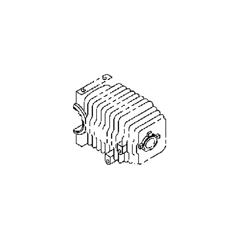 Cylindre tronçonneuse Echo