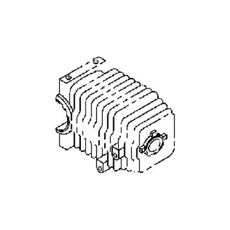 Cylindre tronçonneuse Echo