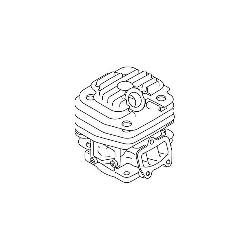 Cylindre tronçonneuse Echo