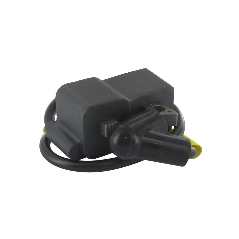 Bobine allumage débroussailleuse Husqvarna