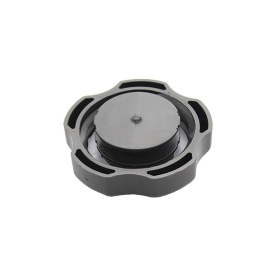 Easyboost Bouchon Réservoir Essence Briggs & Stratton 3.5 à 6cv - Références 397974 493017