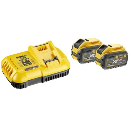 Pack 2 batteries XR Flexvolt 9Ah et un chargeur XR