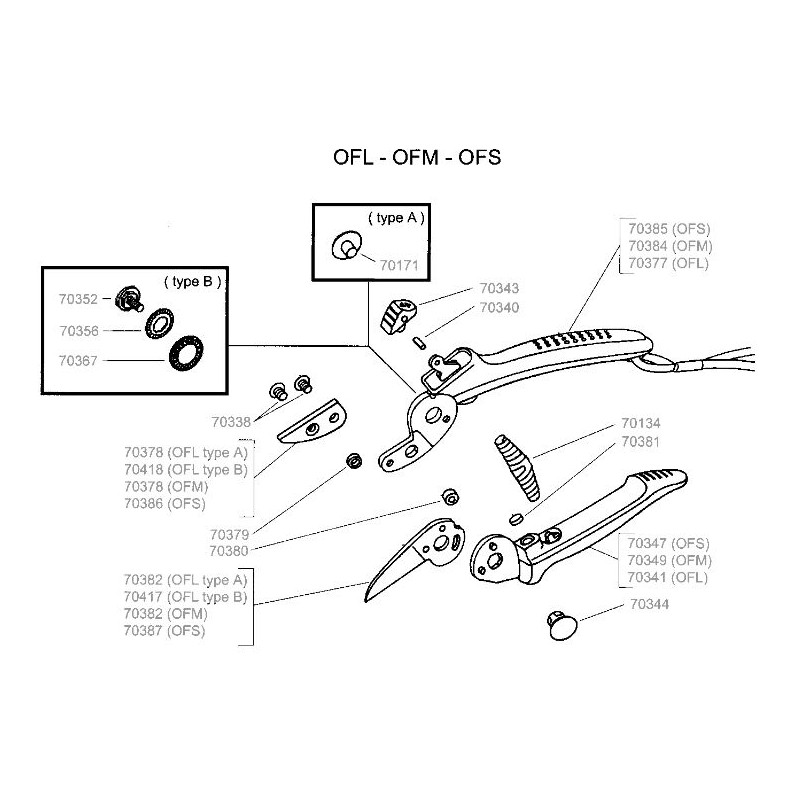 Vis pour sécateur OF Outils Wolf