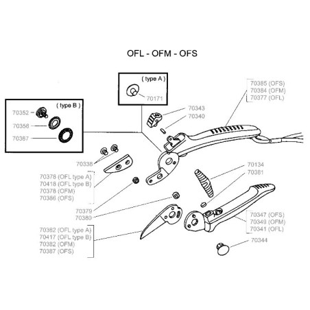 Vis pour sécateur OF Outils Wolf