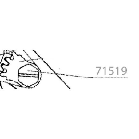 Vis secteur denté pour sécateur OGAN / OGAT Outils Wolf