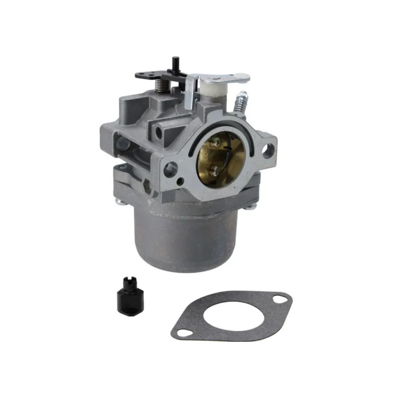 Carburateur moteur Briggs & Stratton