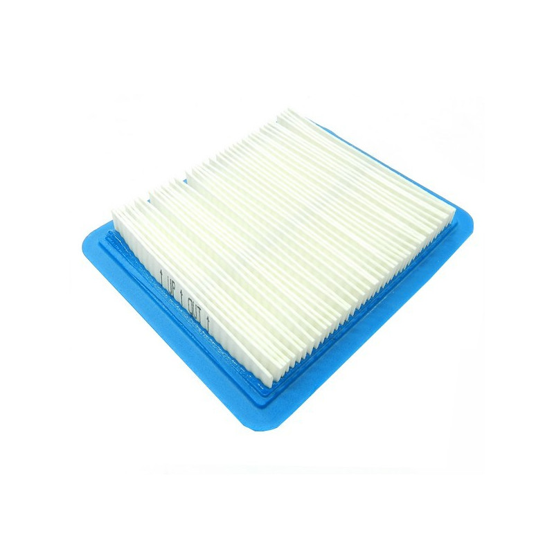 Filtre à air Briggs et Stratton