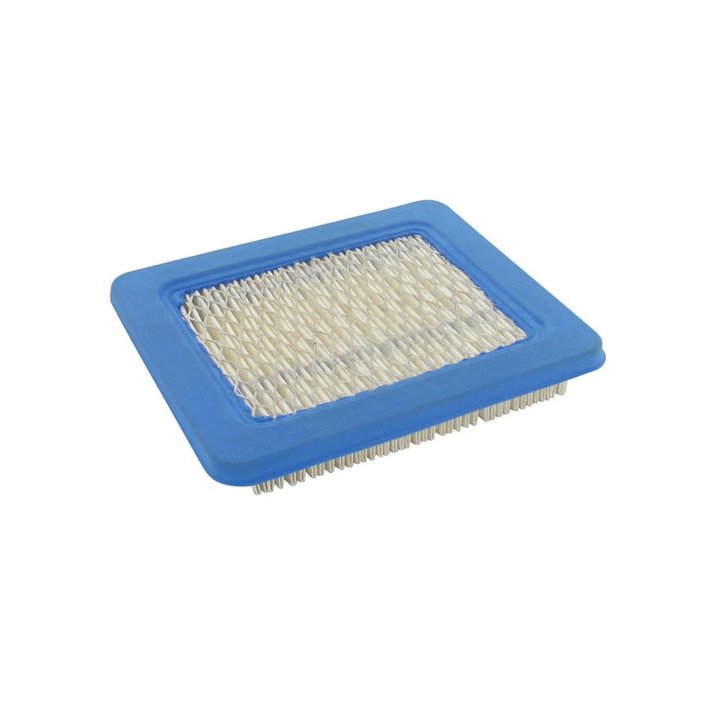 Filtre à air Briggs et Stratton