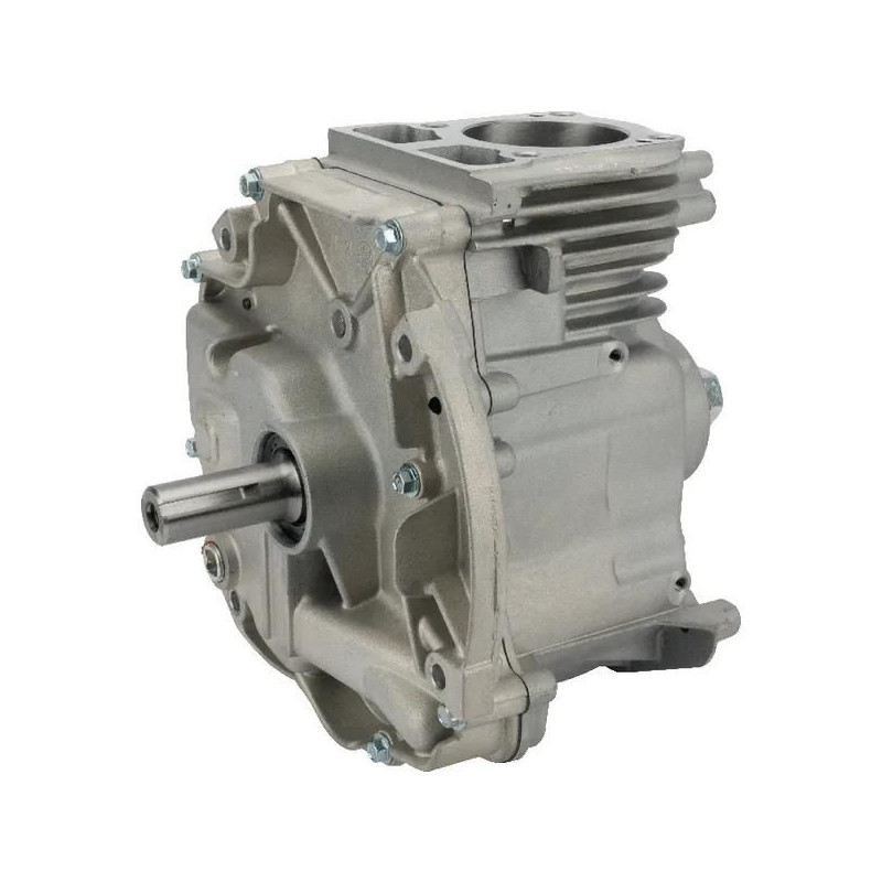 Shortblock Briggs et Stratton modèle 1008 DOV -  795157A