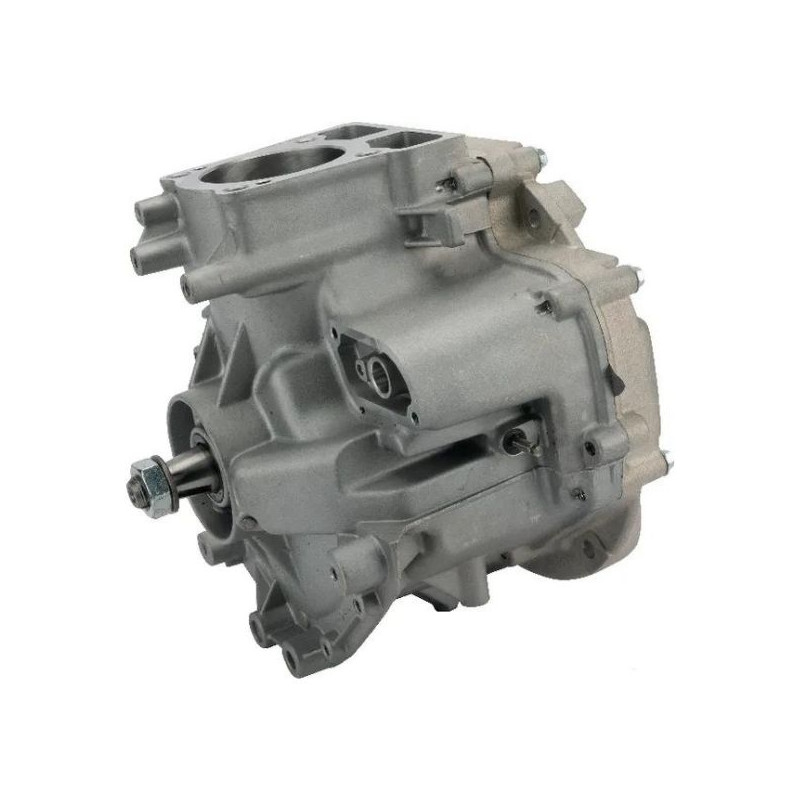 Shortblock Briggs et Stratton modèle 1008 DOV -  795157A