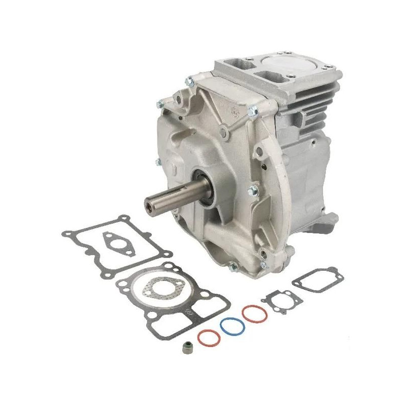 Shortblock Briggs et Stratton DOV 80x22,2 -  795157A