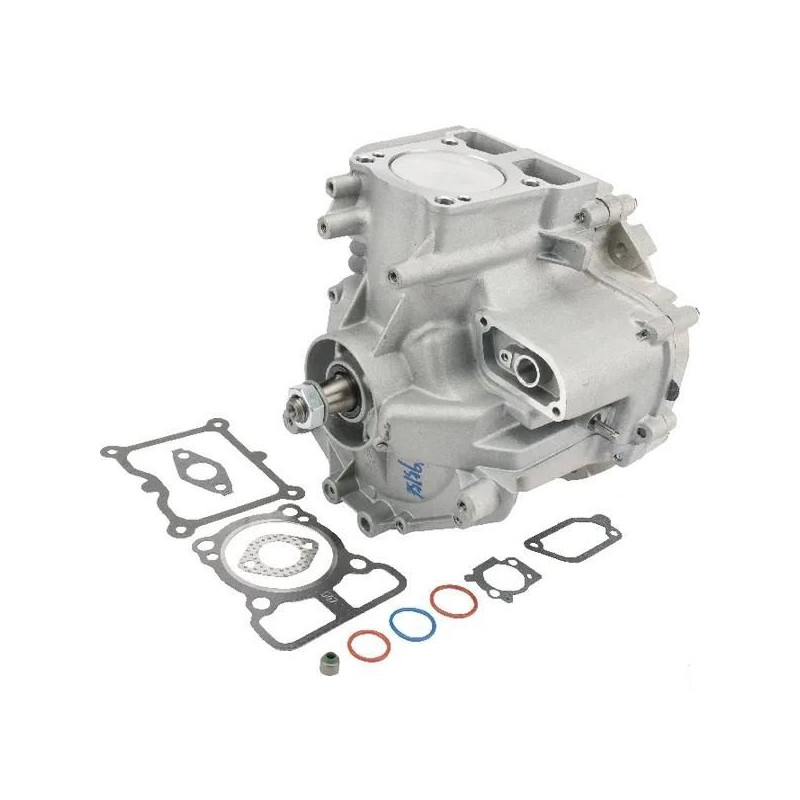 Shortblock Briggs et Stratton DOV 80x22,2 -  795157A