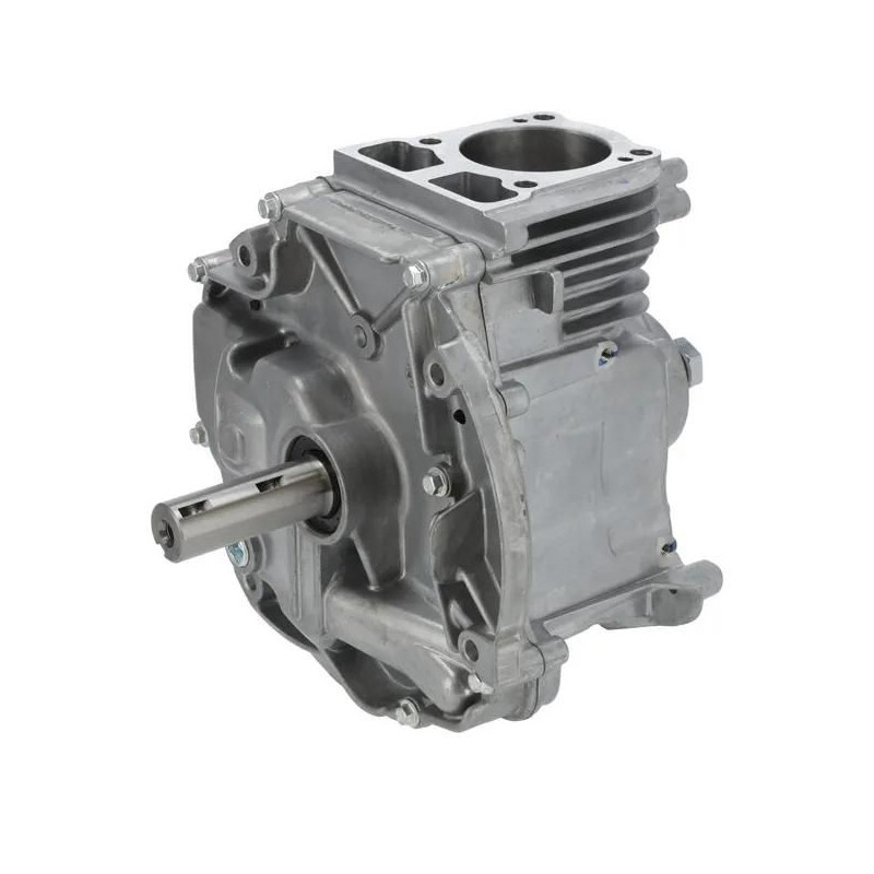 Shortblock Briggs et Stratton modèle 1008 DOV -  795158A