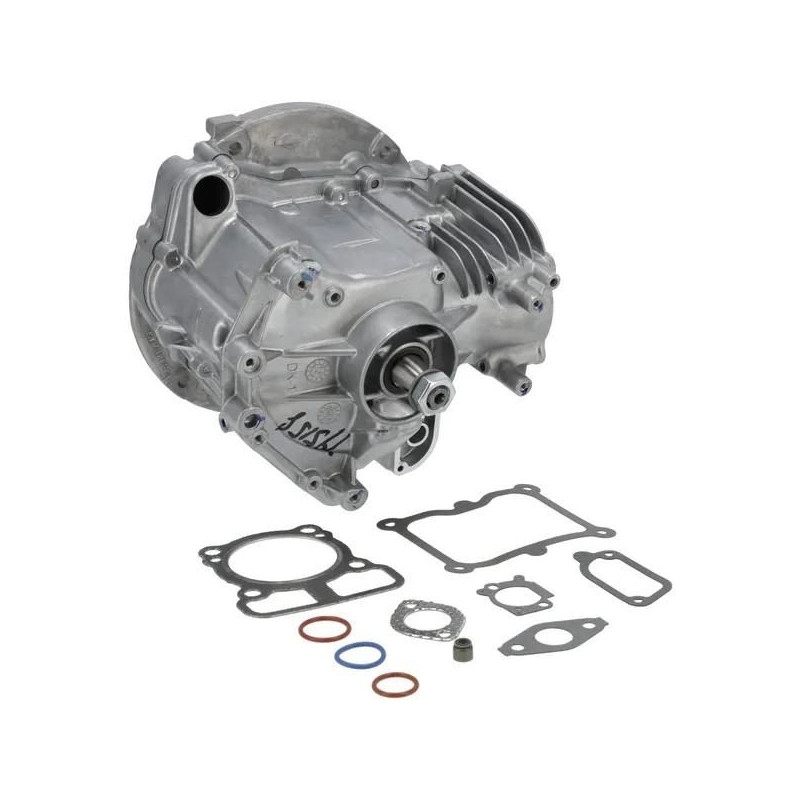 Shortblock Briggs et Stratton modèle 1008 DOV -  795158A