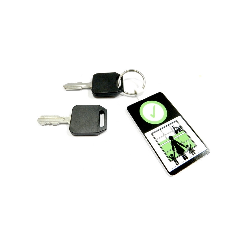 Clé contact tracteur tondeuse Mc culloch