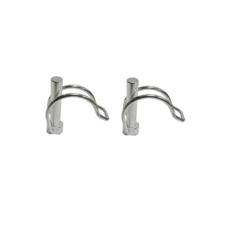 Paire disques protèges plantes motobineuse Oleo Mac / Staub