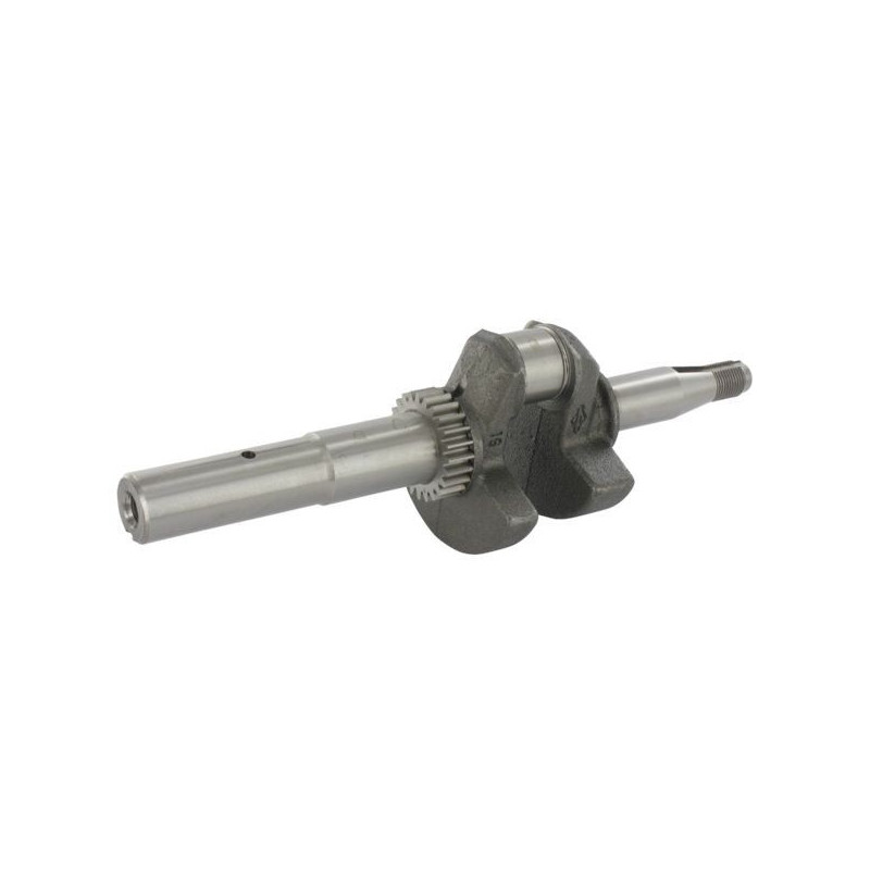 Vilebrequin moteur autoportée Briggs & Stratton