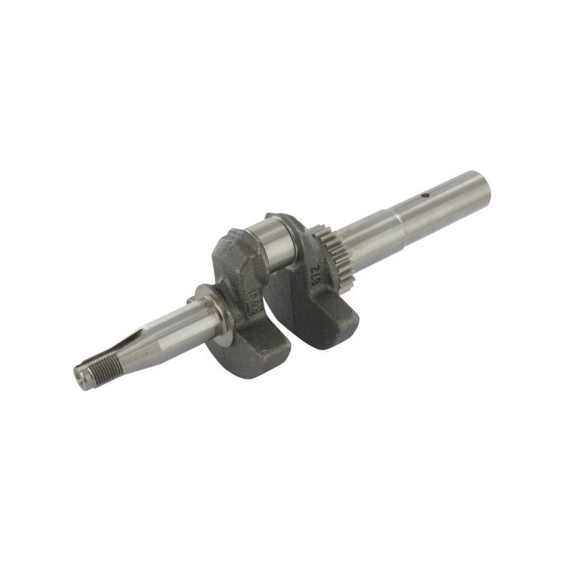 Vilebrequin moteur autoportée Briggs & Stratton