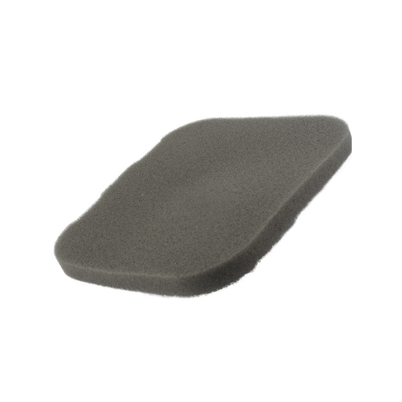 Filtre à air pour tondeuse Loncin LC1P65FE