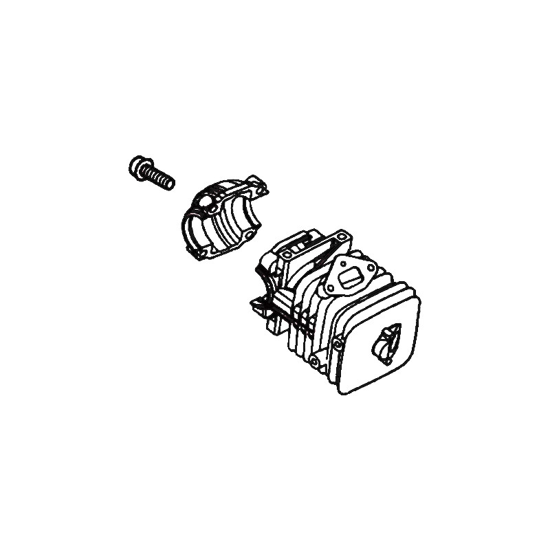 Cylindre tronçonneuse Echo / Shindaiwa