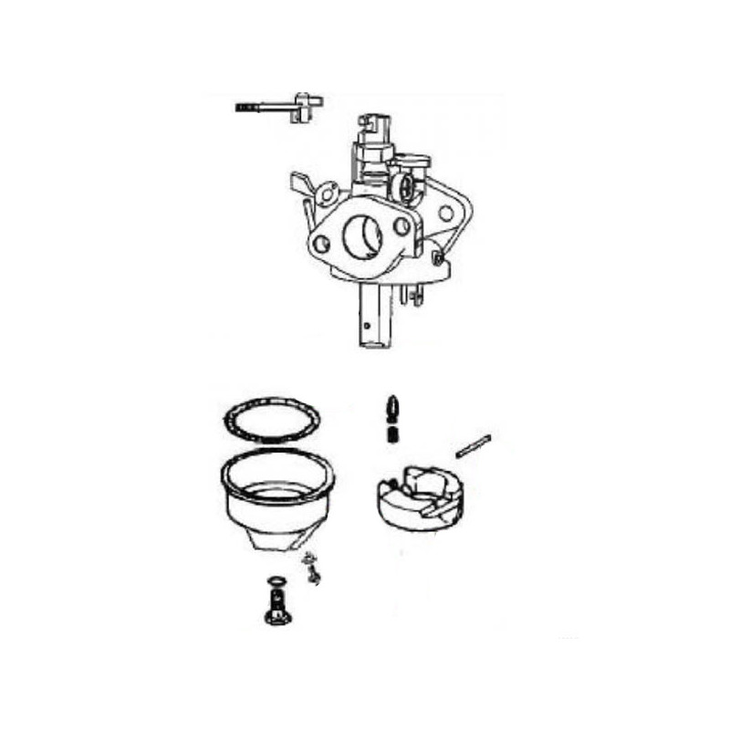 Carburateur pour moteur Loncin LC165F