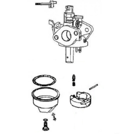 Carburateur pour moteur Loncin LC165F