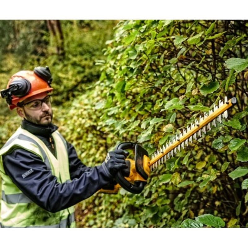 Taille haie sur perche à batterie 55 cm Dewalt XR 18V | Machine nue