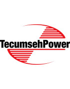 Filtre à Air Pour Plaque Vibrante Multiquip Mikasa MTX50-90 - Références 366010080/070