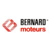 Allumage tondeuse Bernard Moteur