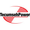 Allumage tondeuse moteur Tecumseh