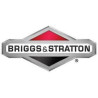 Lanceur Briggs et Stratton