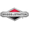 Moteur Briggs & Stratton