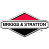 Moteur Briggs & Stratton